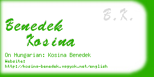 benedek kosina business card